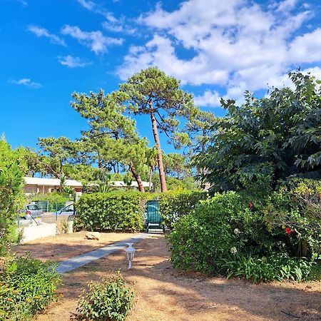 Mini Villa Jardin 50 M Plage Borgo  Extérieur photo
