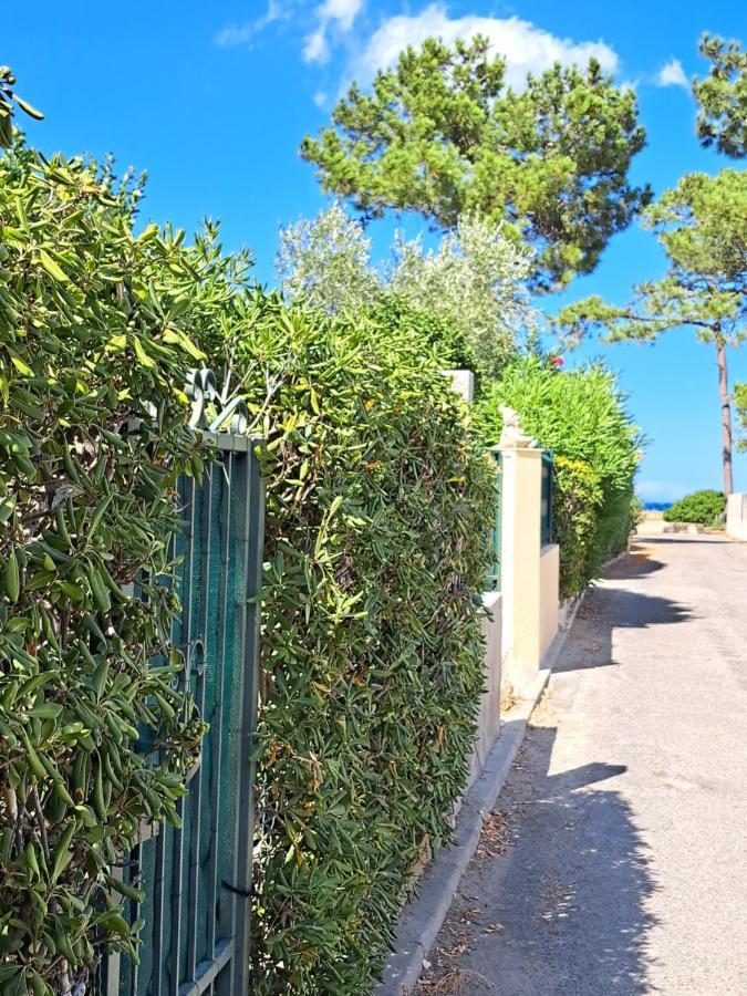 Mini Villa Jardin 50 M Plage Borgo  Extérieur photo