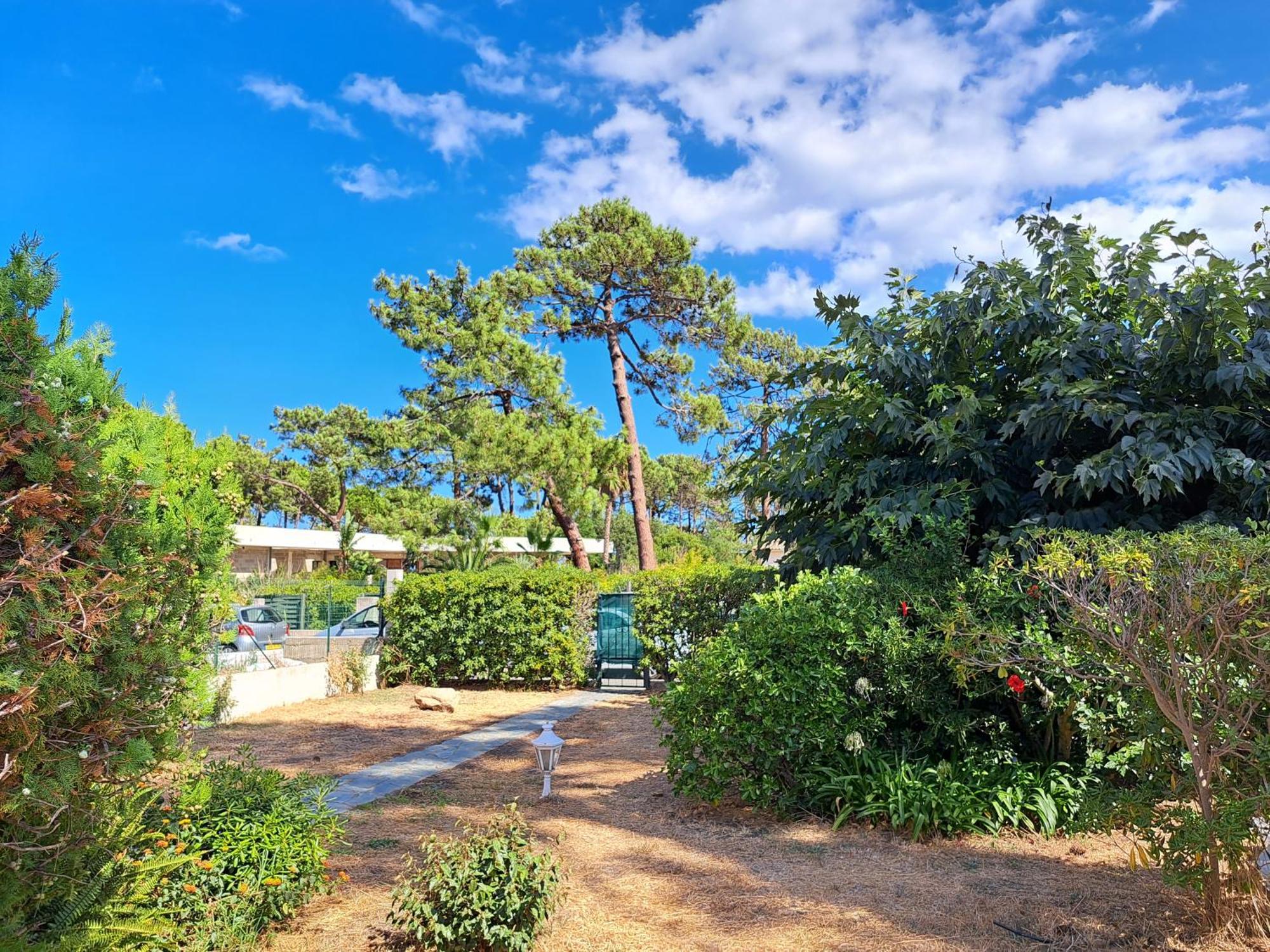 Mini Villa Jardin 50 M Plage Borgo  Extérieur photo