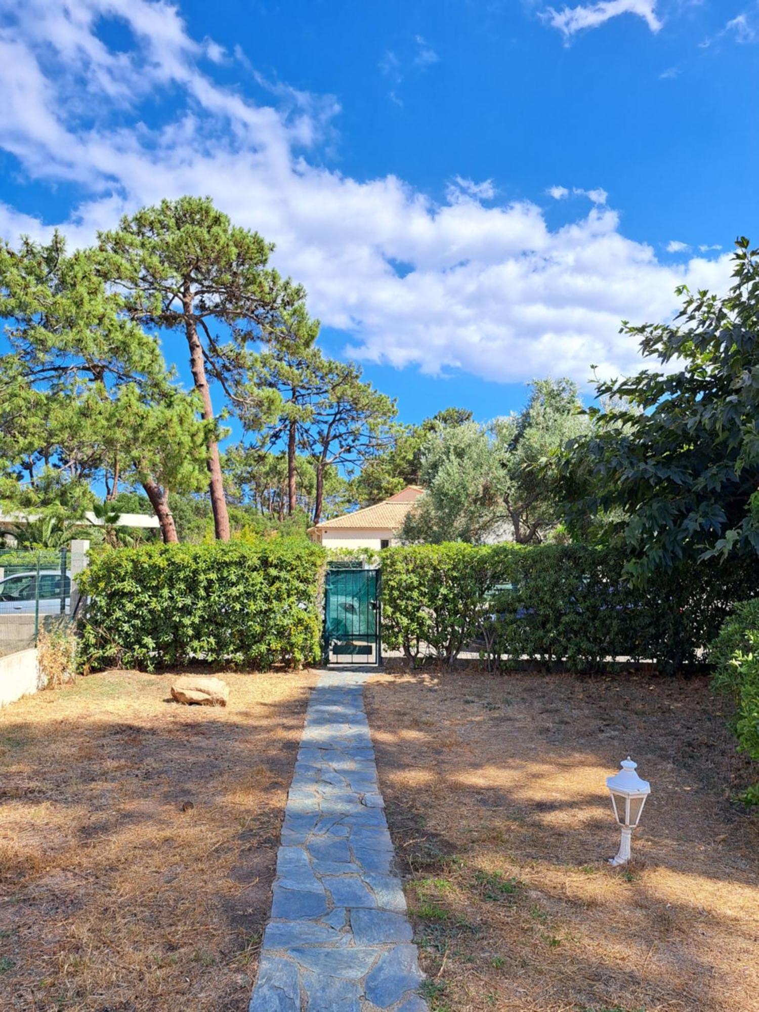 Mini Villa Jardin 50 M Plage Borgo  Extérieur photo