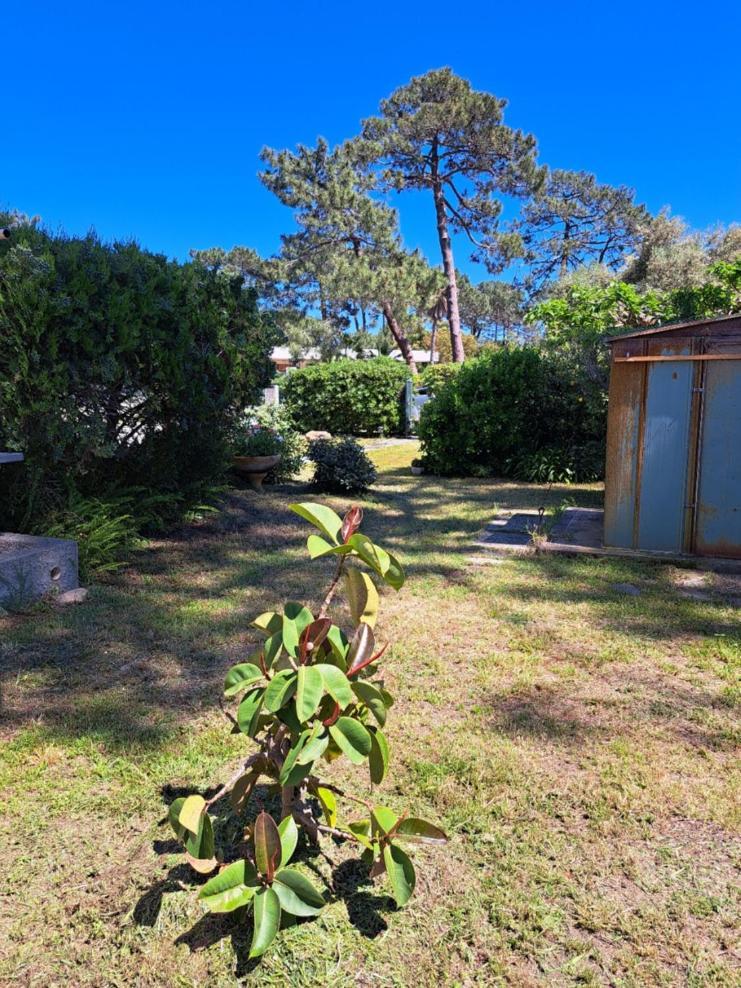 Mini Villa Jardin 50 M Plage Borgo  Extérieur photo