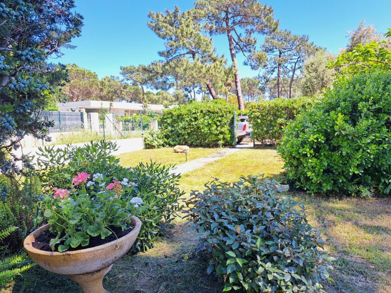Mini Villa Jardin 50 M Plage Borgo  Extérieur photo